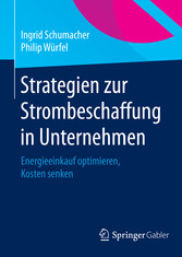 Strategien zur Strombeschaffung in Unternehmen