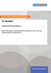 Internet-Fernsehen