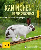 Kaninchen im Außengehege