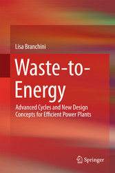 Waste-to-Energy