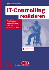 IT-Controlling realisieren