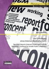 Die Einrichtung eines Internen Kontrollsystems: Der COSO-Reports (Internal Control over Financial Reporting - Guidance for Smaller Public Companies)