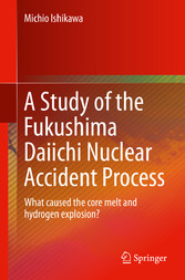 A Study of the Fukushima Daiichi Nuclear Accident Process