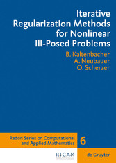 Iterative Regularization Methods for Nonlinear Ill-Posed Problems