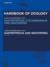 Gastrotricha and Gnathifera