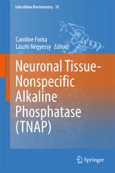 Neuronal Tissue-Nonspecific Alkaline Phosphatase (TNAP)