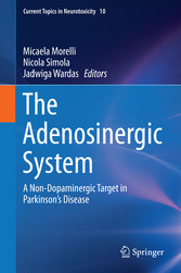 The Adenosinergic System