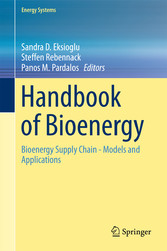 Handbook of Bioenergy