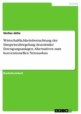 Wirtschaftlichkeitsbetrachtung der Einspeiseabregelung dezentraler Erzeugungsanlagen. Alternativen zum konventionellen Netzausbau