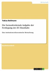 Die herausfordernde Aufgabe der Festlegung des EU-Haushalts