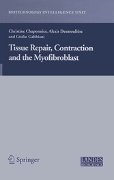 Tissue Repair, Contraction and the Myofibroblast