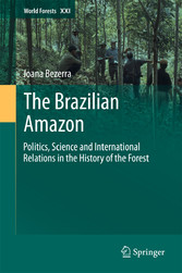 The Brazilian Amazon