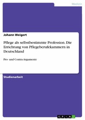 Pflege als selbstbestimmte Profession. Die Errichtung von Pflegeberufekammern in Deutschland