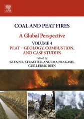 Coal and Peat Fires: A Global Perspective