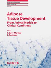 Adipose Tissue Development