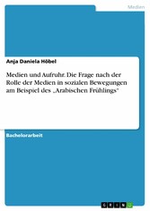 Medien und Aufruhr. Die Frage nach der Rolle der Medien in sozialen Bewegungen am Beispiel des 'Arabischen Frühlings'