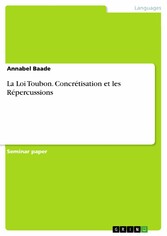 La Loi Toubon. Concrétisation et les Répercussions