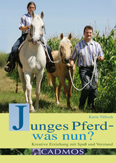 Junges Pferd - was nun?