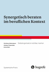 Synergetisch beraten im beruflichen Kontext