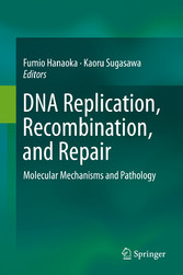 DNA Replication, Recombination, and Repair