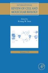 International Review of Cell and Molecular Biology