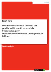 Politische Sozialisation inmitten des gesellschaftlichen Wertewandels. Überwindung der Demokratieverdrossenheit durch politische Bildung?