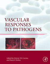 Vascular Responses to Pathogens