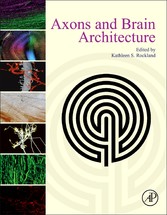 Axons and Brain Architecture