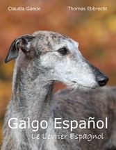 Galgo Español