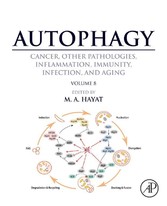 Autophagy: Cancer, Other Pathologies, Inflammation, Immunity, Infection, and Aging