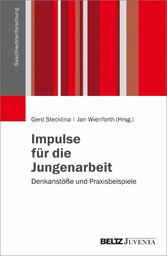 Impulse für die Jungenarbeit