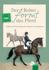 Der Reiter formt das Pferd