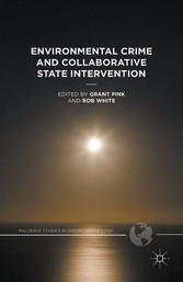 Environmental Crime and Collaborative State Intervention