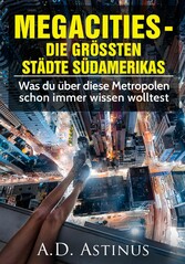 Die neun größten Städte Südamerikas