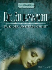 Die Sturmnacht