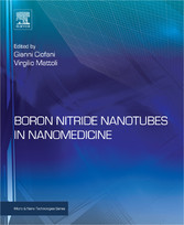 Boron Nitride Nanotubes in Nanomedicine