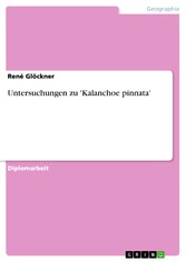 Untersuchungen zu 'Kalanchoe pinnata'