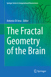 The Fractal Geometry of the Brain