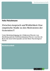 Zwischen Anspruch und Wirklichkeit: Eine empirische Studie zu den Motivatoren der Generation Y