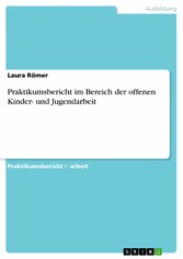 Praktikumsbericht im Bereich der offenen Kinder- und Jugendarbeit