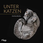 Unter Katzen