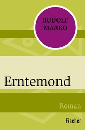 Erntemond