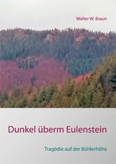 Dunkel überm Eulenstein