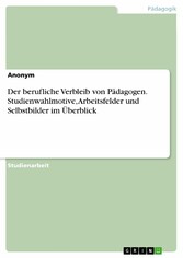 Der berufliche Verbleib von Pädagogen. Studienwahlmotive, Arbeitsfelder und Selbstbilder im Überblick