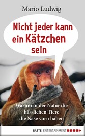 Nicht jeder kann ein Kätzchen sein