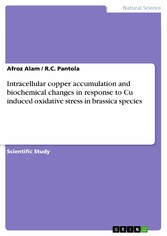 Intracellular copper accumulation and biochemical changes in response to Cu induced oxidative stress in brassica species