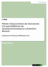 Welche Chancen bieten die Instrumente CIS und DORESI für die Qualitätsentwicklung im schulischen Bereich?