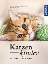 Katzenkinder