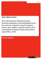 El rol del Derecho Internacional de Derechos Humanos en la judicialización de los casos de violación sexual a mujeres dentro del conflicto armado interno de la comunidad de Manta, Huancavelica-Perú, entre1984 a 1994