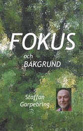 Fokus och bakgrund